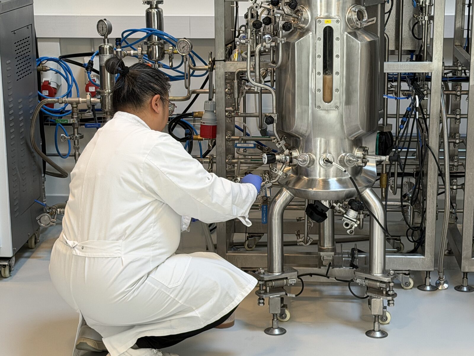 A scientist taking a sample from a stainless-steel pilot-scale bioreactor
