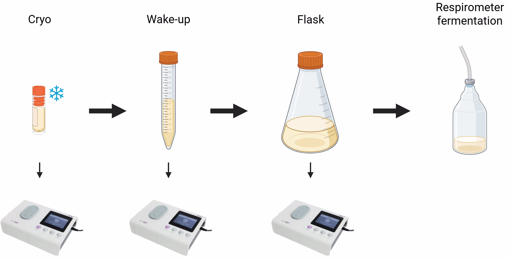 Overview of the improved inoculation workflow optimized at GLBRC