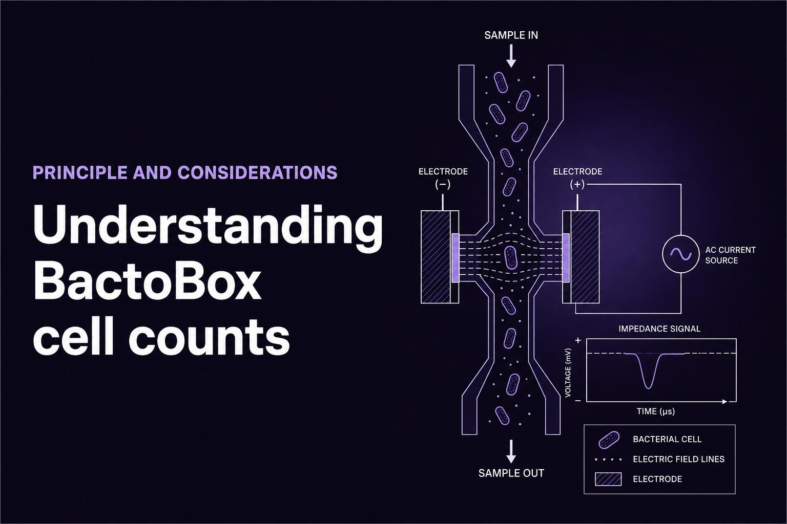Cell Count Model Understanding BactoBox® cell counts | SBT Instruments